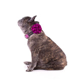 COLLAR DE  FLOR  / BÁSICO BERRY